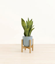 Load image into Gallery viewer, Misty Blue stand:bamboo