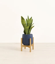 Load image into Gallery viewer, Deep Navy stand:bamboo