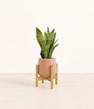 Load image into Gallery viewer, Calm Rose stand:bamboo