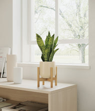 Load image into Gallery viewer, Almond Green stand:bamboo