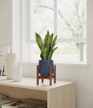 Load image into Gallery viewer, Deep Navy stand:walnut