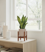 Load image into Gallery viewer, Eternal Gray stand:walnut