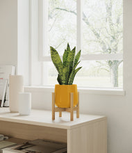 Load image into Gallery viewer, Mustard stand:bamboo