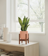 Load image into Gallery viewer, Calm Rose stand:walnut