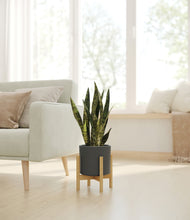 Load image into Gallery viewer, Dark Olive stand:bamboo