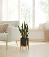 Load image into Gallery viewer, Black stand:bamboo