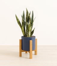 Load image into Gallery viewer, Deep Navy stand:light