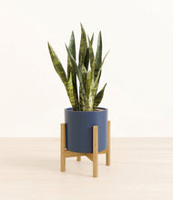 Load image into Gallery viewer, Deep Navy stand:bamboo