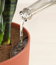 Load image into Gallery viewer, Earth Red stand:all