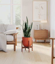 Load image into Gallery viewer, Earth Red stand:walnut