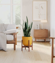 Load image into Gallery viewer, Sunset Orange stand:walnut