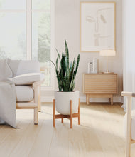 Load image into Gallery viewer, Natural Bamboo stand:bamboo