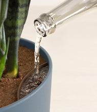 Load image into Gallery viewer, Iron Gray stand:all