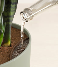 Load image into Gallery viewer, Sage Green stand:all