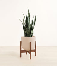 Load image into Gallery viewer, Sandy Pink stand:walnut