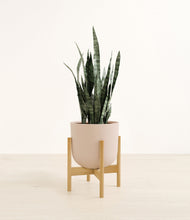 Load image into Gallery viewer, Sandy Pink stand:bamboo