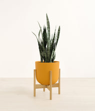 Load image into Gallery viewer, Sunset Orange stand:bamboo
