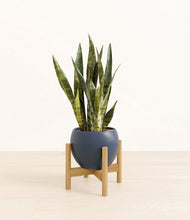 Load image into Gallery viewer, Deep Navy stand:bamboo