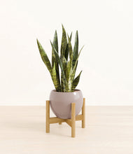 Load image into Gallery viewer, Winter Clouds stand:bamboo