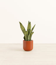 Load image into Gallery viewer, Glossy Red*****Profile