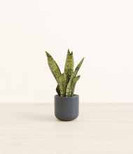 Load image into Gallery viewer, Iron Gray*****Profile