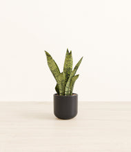 Load image into Gallery viewer, Stone Black*****Profile