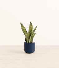 Load image into Gallery viewer, Twilight Blue*****Profile