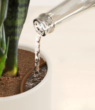 Load image into Gallery viewer, Cotton White stand:all