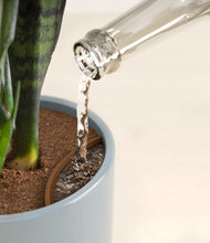 Load image into Gallery viewer, Misty Blue stand:all