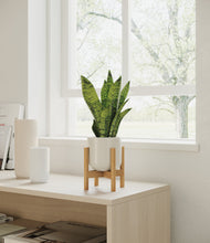 Load image into Gallery viewer, Cotton White stand:bamboo