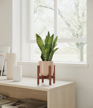 Load image into Gallery viewer, Sandy Pink stand:walnut
