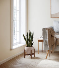 Load image into Gallery viewer, Desert Brown stand:walnut