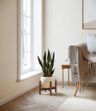 Load image into Gallery viewer, Shiny EggWhite stand:walnut