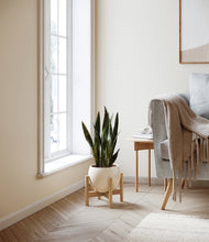 Load image into Gallery viewer, Shiny EggWhite stand:bamboo