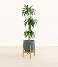 Load image into Gallery viewer, Iron Gray stand:bamboo