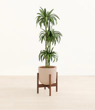 Load image into Gallery viewer, Sandy Pink stand:walnut