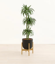 Load image into Gallery viewer, Stone Black stand:bamboo