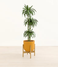 Load image into Gallery viewer, Sunset Orange stand:bamboo