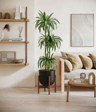 Load image into Gallery viewer, Stone Black stand:walnut