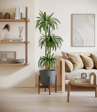 Load image into Gallery viewer, Iron Gray stand:walnut