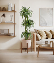 Load image into Gallery viewer, Sandy Pink stand:walnut