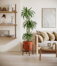 Load image into Gallery viewer, Earth Red stand:walnut