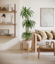 Load image into Gallery viewer, Sandy Pink stand:bamboo