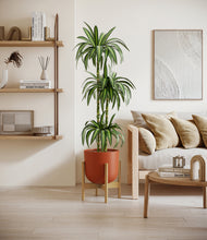 Load image into Gallery viewer, Earth Red stand:bamboo