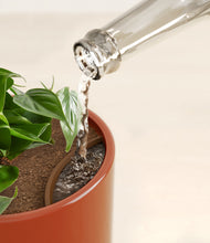 Load image into Gallery viewer, Glossy Red stand:all