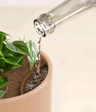 Load image into Gallery viewer, Glossy Pink stand:all