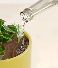 Load image into Gallery viewer, Key Lime Yellow stand:all