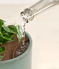 Load image into Gallery viewer, Reactive Aqua stand:all