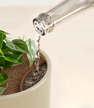 Load image into Gallery viewer, Sage Green stand:all