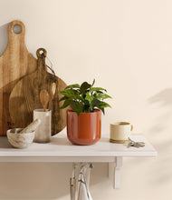 Load image into Gallery viewer, Glossy Red